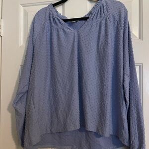 J. Crew Light Blue Swiss Dot Peasant Blouse